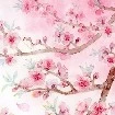người bí ẩn???