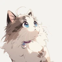Mew Mew