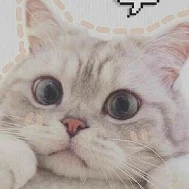 si(bff của tác giả)