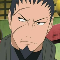 Nara Shikaku