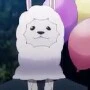 paca