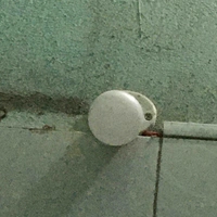 Đàn em1