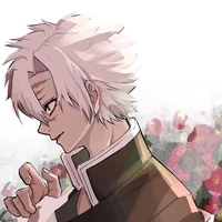 Shinazugawa Sanemi