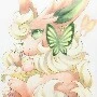 shira