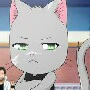 exceed của yuma ( yui )
