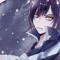 Gray Fullbuster