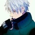 kakashi (n9)