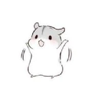tác giả trong vai chuột 🐭