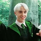 Draco