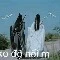con dẫn truyện