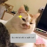 tác giã