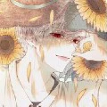 Mijia Daichi