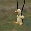 Tác Giả giả tạo