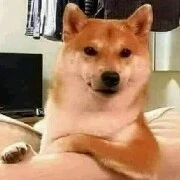 Nhân Vật Phụ :>