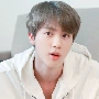 Seok Jin