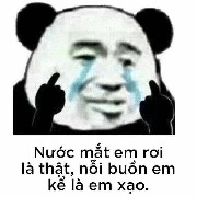 tác giả ôn zịt thích gây sự[Gà]