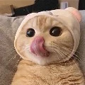 [Tác giả]-Sở nè