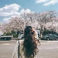 Hải Vân