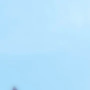 .....