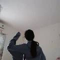 Zinz (tác giả )