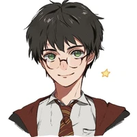 Mr Harry Potter
