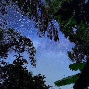 Con tác giả khá ngu (Monli)