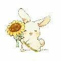 Bunny/dạng thỏ