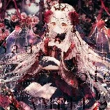 ꧁Rose꧂