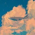whale_