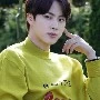 Kim Seok Jin