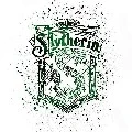 slytherin