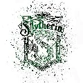 slytherin