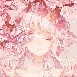 Sakura Hotako