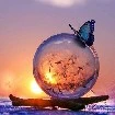 nhân vật nhiều vai