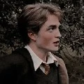 Cedric Diggory