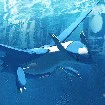 Latios