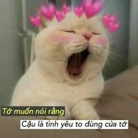 Mik là tác giả cute