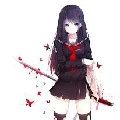 shin sarlet