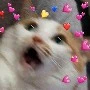 T/G Xịn Xò🍒❤🦋