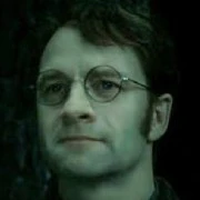 James Potter ( ba của hai anh em potter)