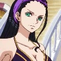 robin