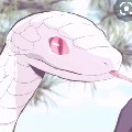 Kaburamaru