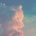 6 người các cô