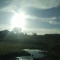 Nhiều nv