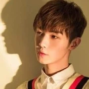 Tống Kế Dương( vợ HH )