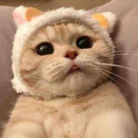 Bé tác giả dễ thưn :>