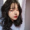 Trang Cự Giải//Giải Hiền Hòa