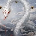 Bạch Xà (Bạch)<thần thú của nu9 >