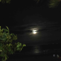 Người bí ẩn