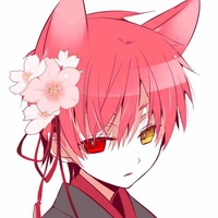 Tg
